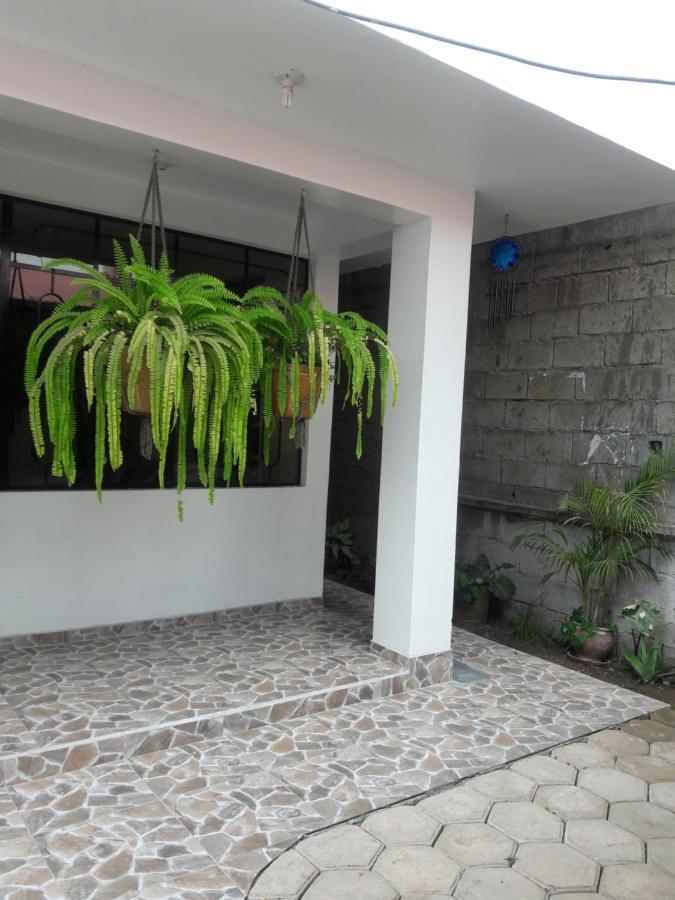 Suzet House Guest House Oxapampa Ngoại thất bức ảnh