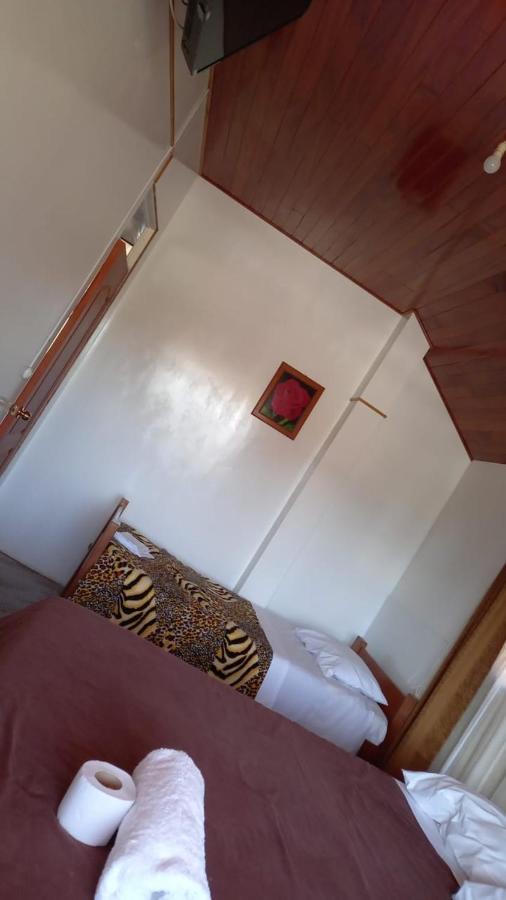 Suzet House Guest House Oxapampa Ngoại thất bức ảnh